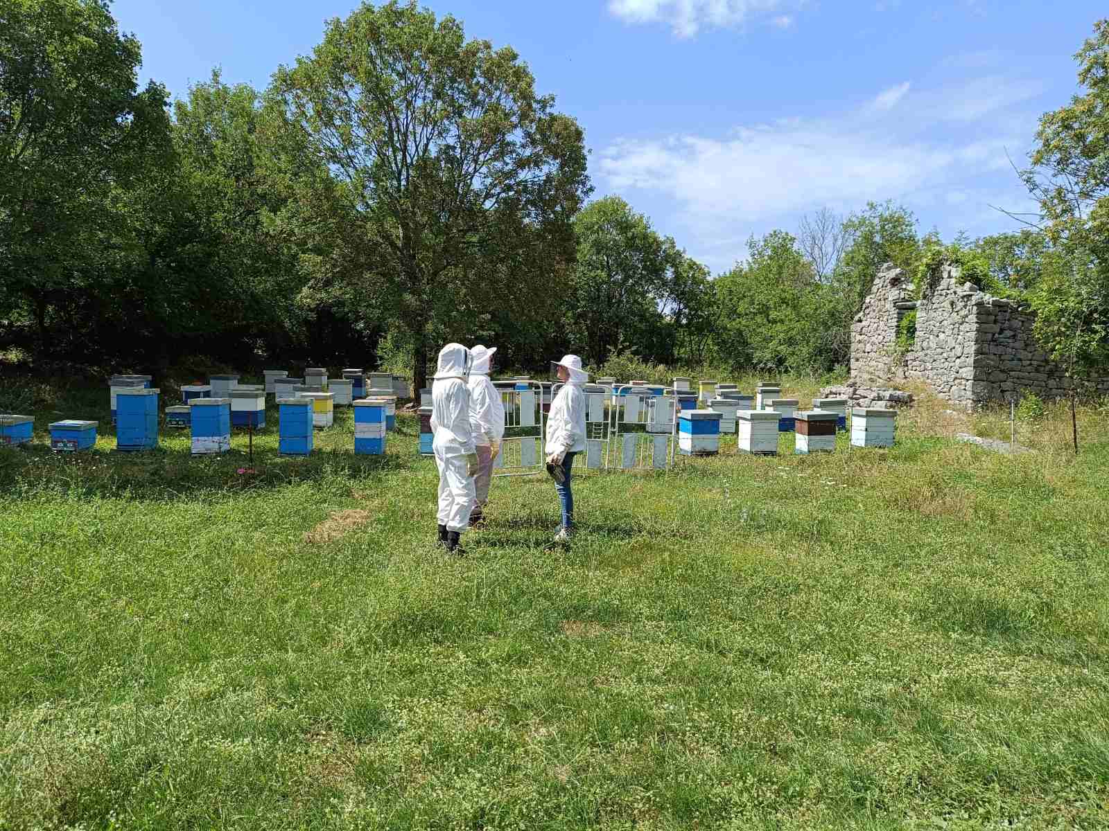 honey farm kovacevic rural apiary beekeeping trebinje herzegovina