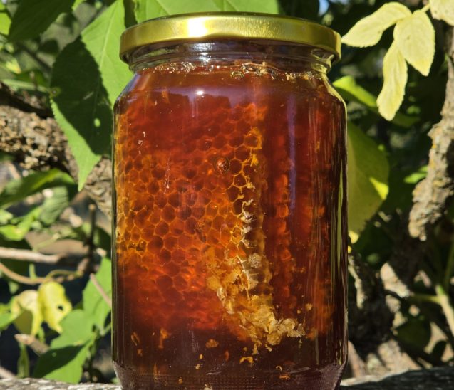 honeycomb in a jar Kovacevic beekeeper apiary Trebinje Hercegovina